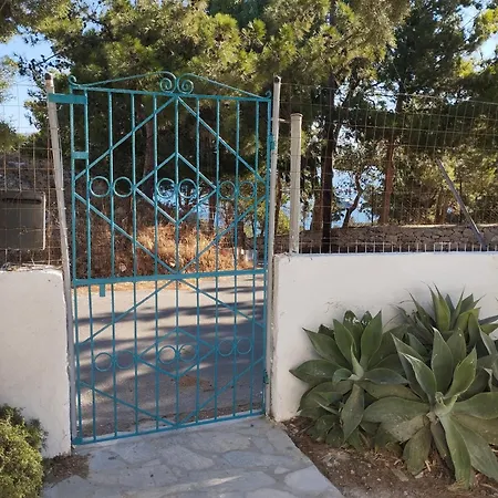 White Cat * Vromolithos