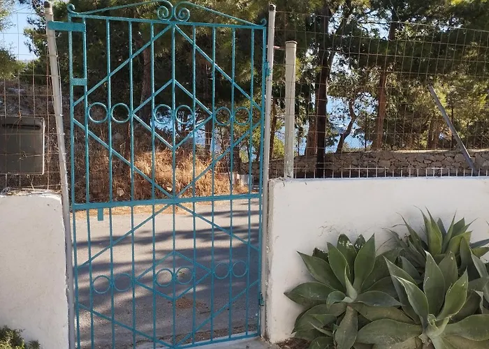 White Cat * Vromolithos