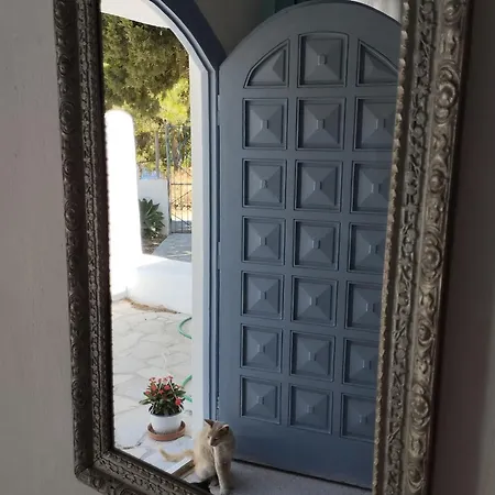 White Cat * Vromolithos