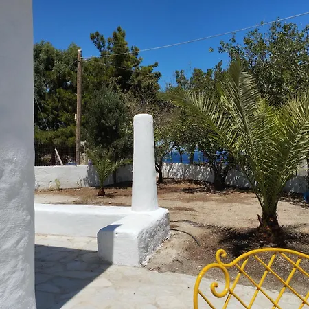 White Cat בית נופש *