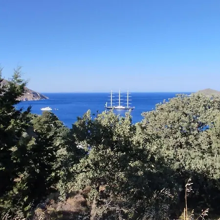 White Cat בית נופש