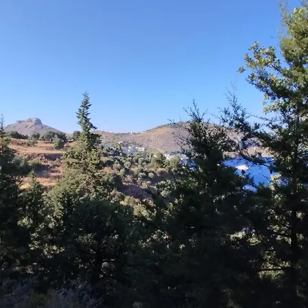 White Cat בית נופש *