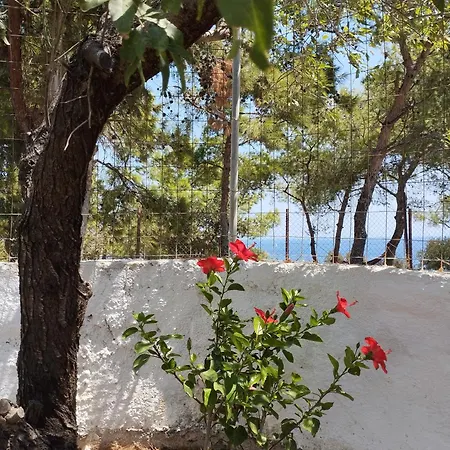 White Cat בית נופש Vromolithos