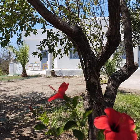 White Cat Holiday home Vromolithos