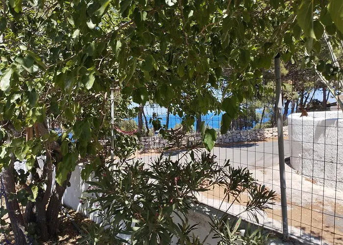 Tatil Evi White Cat *