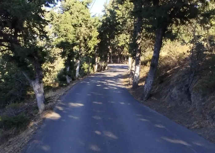 Tatil Evi White Cat Vromolithos