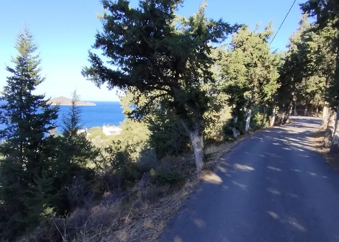 White Cat Tatil Evi *