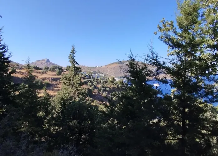 White Cat Tatil Evi *