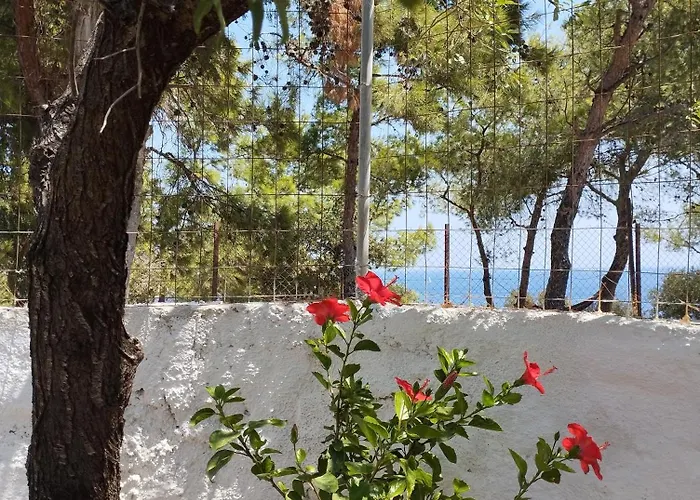 White Cat Tatil Evi Vromolithos