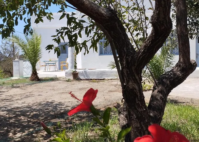 White Cat Tatil Evi Vromolithos